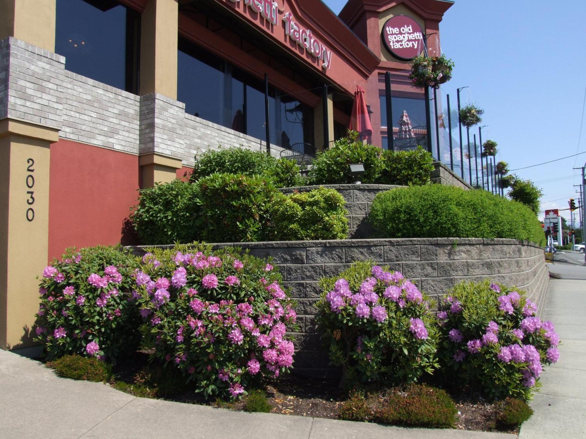 Coast Abbotsford Hotel & Suites Exterior foto